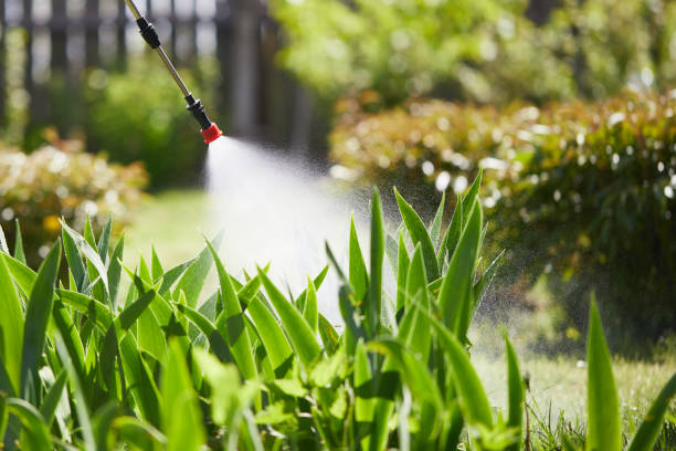 24/7 Emergency Termite Control experts in Greenville, KY