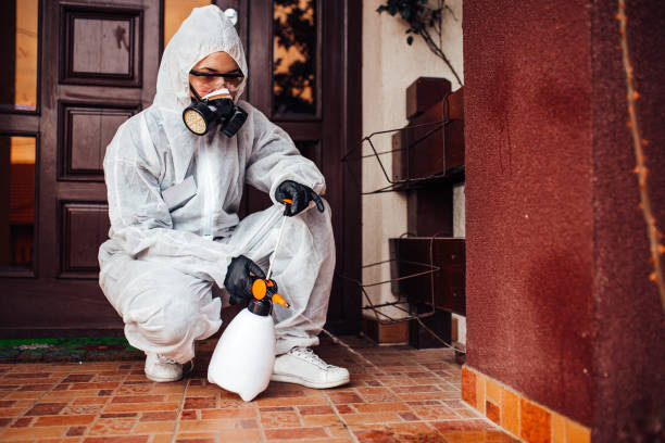 Reliable Termite Control contractor in Greenville, KY by Nex Pest Control